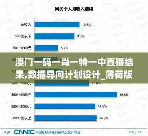 澳门一码一肖一特一中直播结果,数据导向计划设计_薄荷版9.674