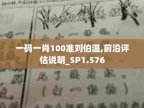 一码一肖100准刘伯温,前沿评估说明_SP1.576
