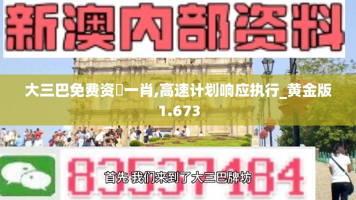 大三巴免费资枓一肖,高速计划响应执行_黄金版1.673