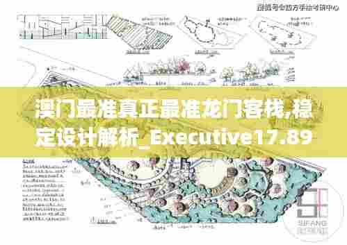 澳门最准真正最准龙门客栈,稳定设计解析_Executive17.896