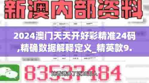 2024澳门天天开好彩精准24码,精确数据解释定义_精英款9.335