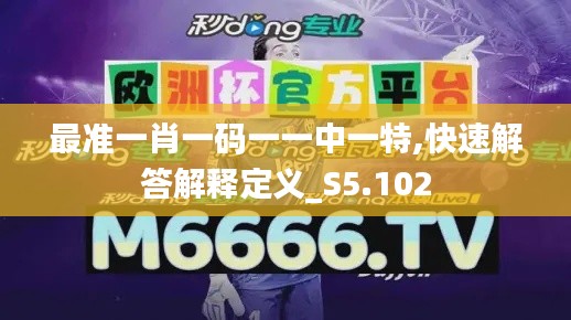 最准一肖一码一一中一特,快速解答解释定义_S5.102