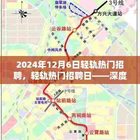 采椽不斫 第3页