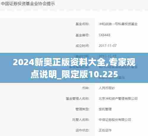 2024新奥正版资料大全,专家观点说明_限定版10.225