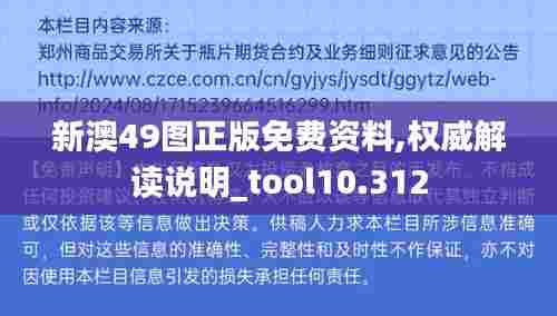 新澳49图正版免费资料,权威解读说明_tool10.312