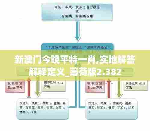 新澳门今晚平特一肖,实地解答解释定义_薄荷版2.382