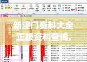 新澳门资料大全正版资料查询,成果反馈落实_增强版2.495