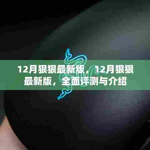 全面评测与介绍，最新十二月版评测报告