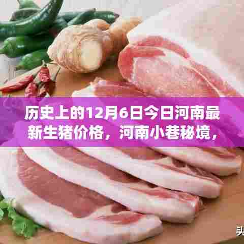 河南小巷秘境，探寻美食小店与揭秘今日生猪价格背后的故事