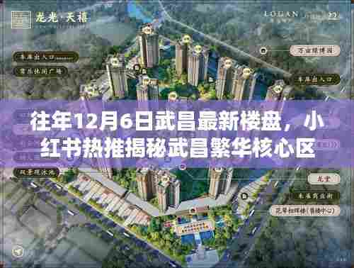 武昌繁华核心区域揭秘，往年12月6日最新楼盘风采小红书热推回顾