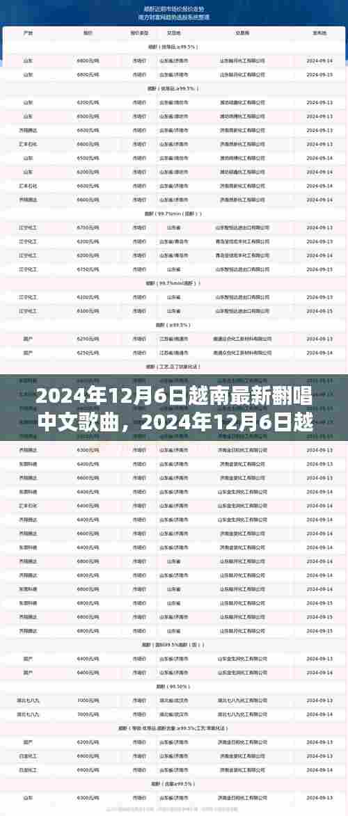 2024年越南最新中文歌曲翻唱潮流解析