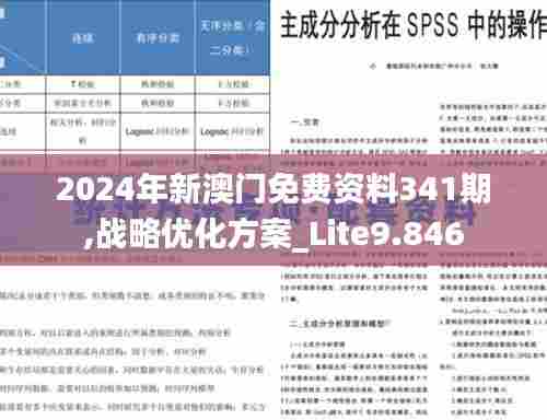 2024年新澳门免费资料341期,战略优化方案_Lite9.846