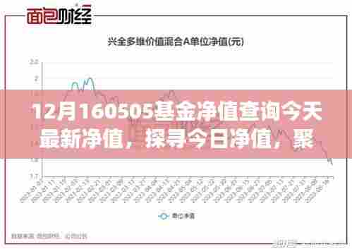 探寻今日基金净值变迁，聚焦十二月五日市场风云下的基金净值查询