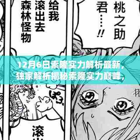 独家解析，索隆实力巅峰揭秘，角色成长与技能进阶深度解读（最新实力解读）