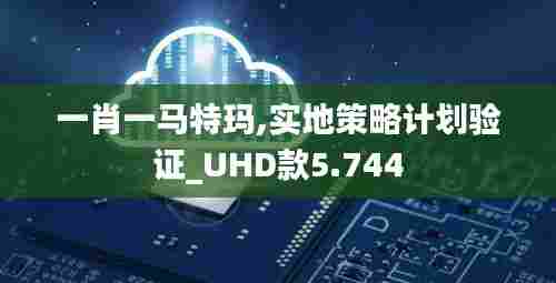 一肖一马特玛,实地策略计划验证_UHD款5.744