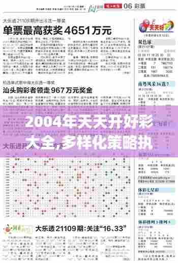 2004年天天开好彩大全,多样化策略执行_特别款9.456