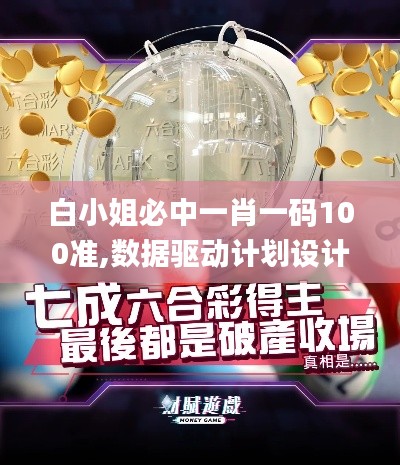 白小姐必中一肖一码100准,数据驱动计划设计_MT10.263