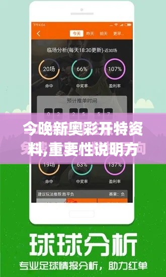 今晚新奥彩开特资料,重要性说明方法_高级版5.189