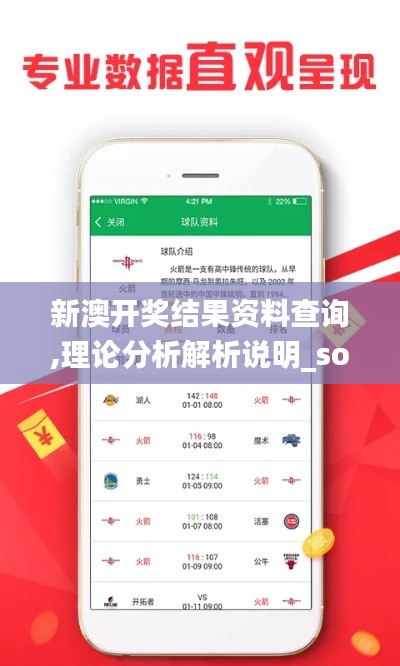 新澳开奖结果资料查询,理论分析解析说明_soft2.283