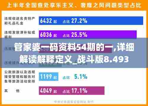 管家婆一码资料54期的一,详细解读解释定义_战斗版8.493