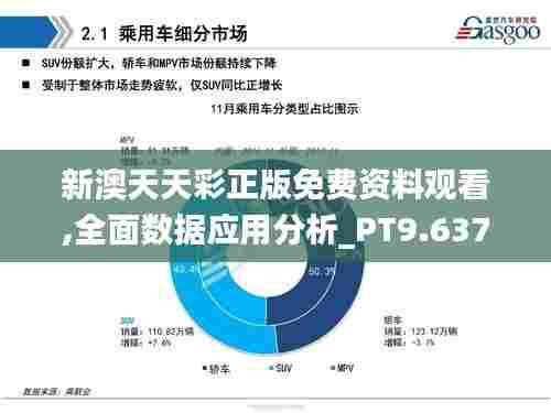 新澳天天彩正版免费资料观看,全面数据应用分析_PT9.637