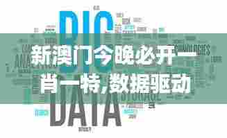 新澳门今晚必开一肖一特,数据驱动实施方案_Prestige5.403