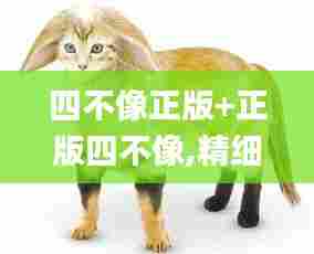 对答如流 第3页