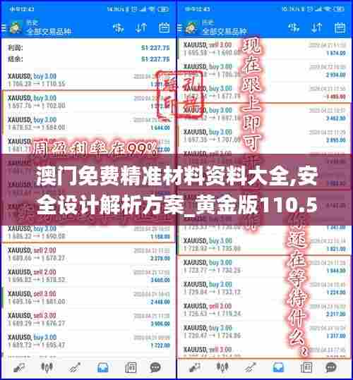 澳门免费精准材料资料大全,安全设计解析方案_黄金版110.500