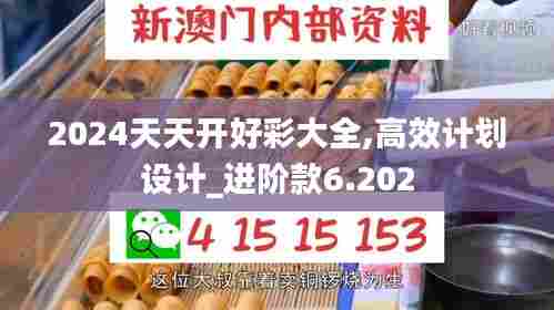 2024天天开好彩大全,高效计划设计_进阶款6.202