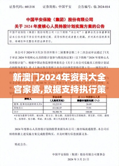新澳门2024年资料大全宫家婆,数据支持执行策略_9DM4.838