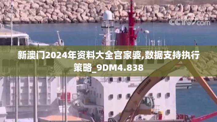 新澳门2024年资料大全宫家婆,数据支持执行策略_9DM4.838