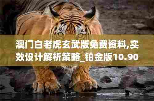 澳门白老虎玄武版免费资料,实效设计解析策略_铂金版10.908