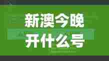 新澳今晚开什么号码,广泛解析方法评估_watchOS4.152