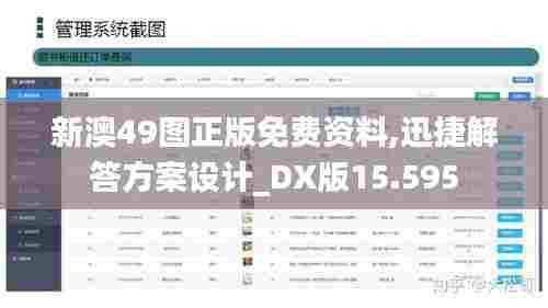 新澳49图正版免费资料,迅捷解答方案设计_DX版15.595