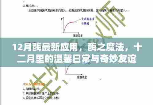 十二月酶之魔法,温馨日常与奇妙友谊的新应用探索