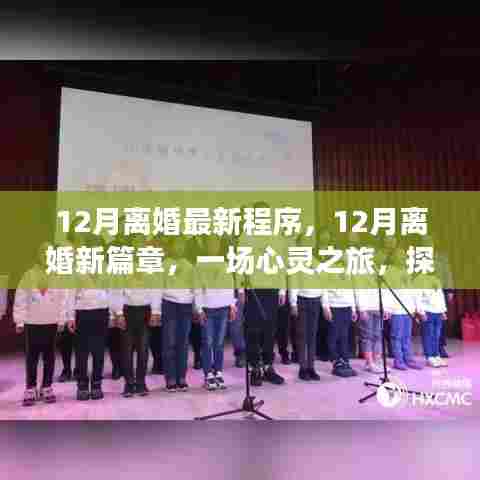12月离婚新程序，心灵之旅，探寻美景，重塑内心宁静