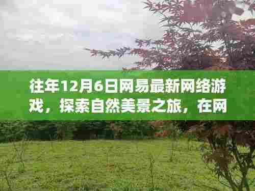 网易探索之旅,网络游戏中的自然美景与心灵宁静之旅
