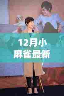 冬日的温馨使者，12月小麻雀最新动态与季节美好感受