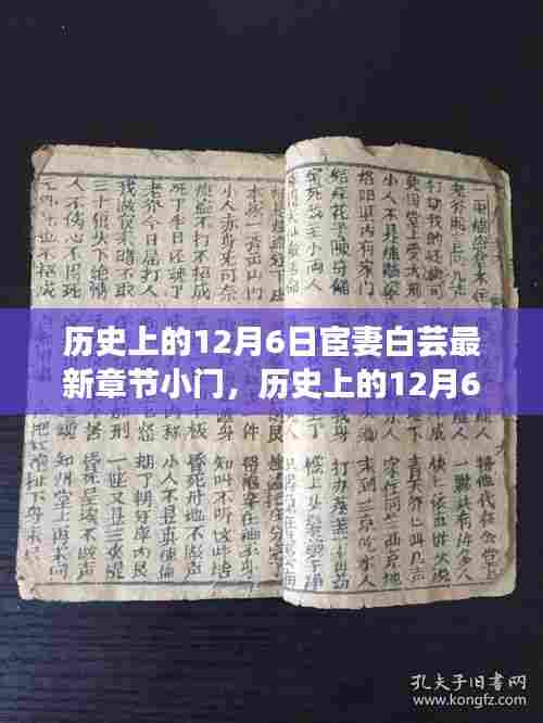 历史上的12月6日与宦妻白芸最新章节揭秘