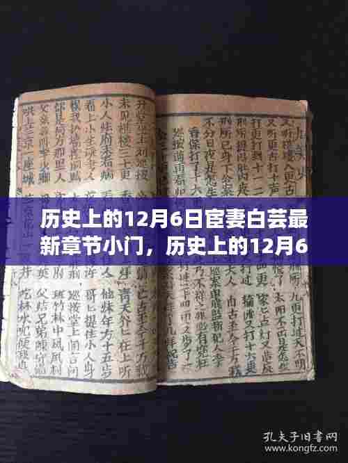 历史上的12月6日与宦妻白芸最新章节揭秘