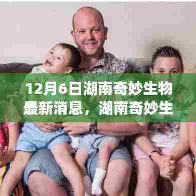 湖南奇妙生物新动态，变化中的学习之旅，自信与成就感的源泉