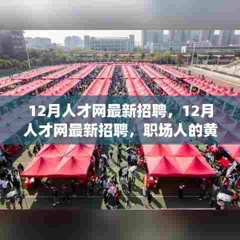 12月人才网最新招聘，12月人才网最新招聘，职场人的黄金机会时刻