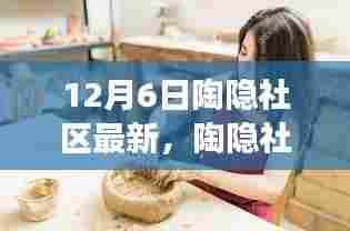陶隐社区最新动态深度解读,12月6日更新报告