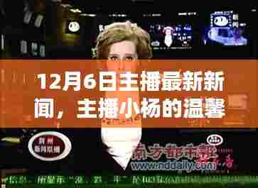 主播小杨的温馨播报日，最新新闻与快乐新闻时光在12月6日