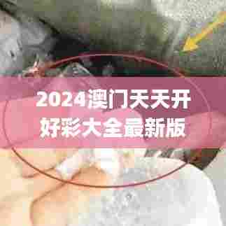 2024澳门天天开好彩大全最新版本343期,最新正品解答落实_S15.263