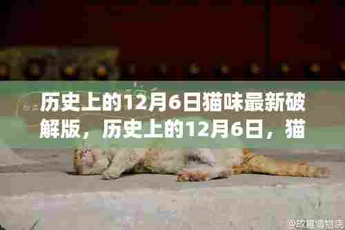 历史上的猫步秘境,追寻心灵宁静之旅的12月6日探索纪实