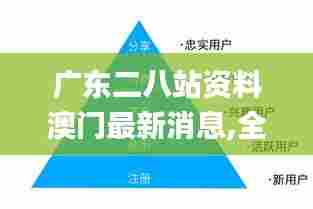 广东二八站资料澳门最新消息,全面数据执行方案_Executive16.197