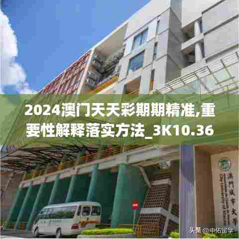 2024澳门天天彩期期精准,重要性解释落实方法_3K10.364