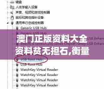 澳门正版资料大全资料贫无担石,衡量解答解释落实_uShop9.990