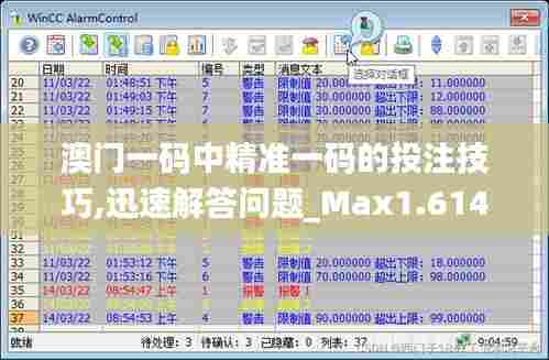 澳门一码中精准一码的投注技巧,迅速解答问题_Max1.614